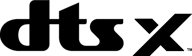 Logo DTS X